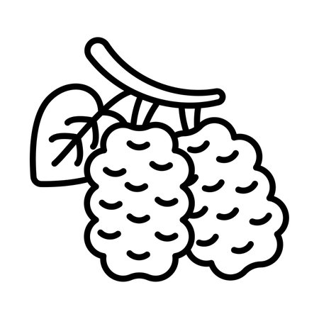 Beautiful mulberry icon design, isolated on white backgroundのイラスト素材