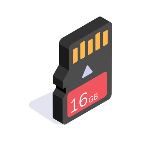 Data memory chip, memory card isometric icon easy to use and download