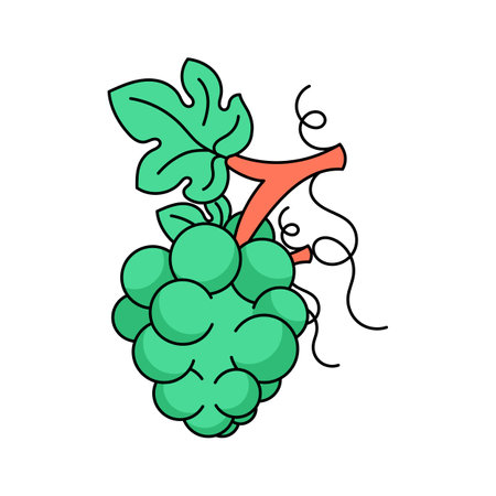 Bunch of sweet berries, icon of grapes, natural antioxidant fruitのイラスト素材