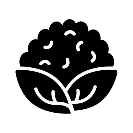 Fresh cauliflower icon, ideal for healthy eating and cooking,のイラスト素材