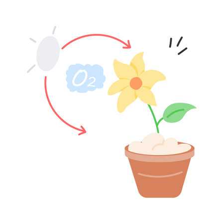 Plant converting CO2 into oxygen through photosynthesisのイラスト素材