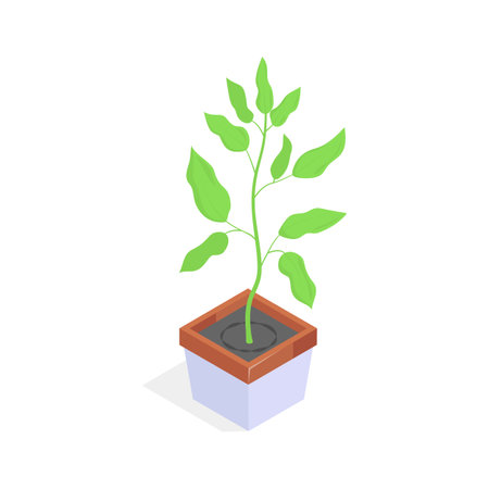 A vibrant green houseplant in a pot, presented in an isometric style.のイラスト素材