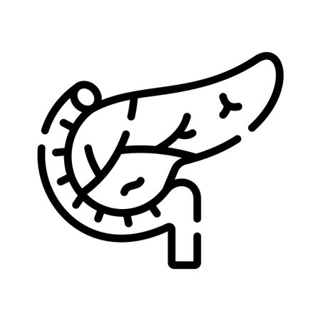 A modern outline icon of pancreas internal organのイラスト素材
