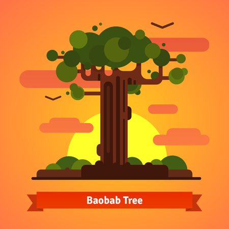 Baobab tree evening sunset scene. Isolated flat style vector background illustration.のイラスト素材