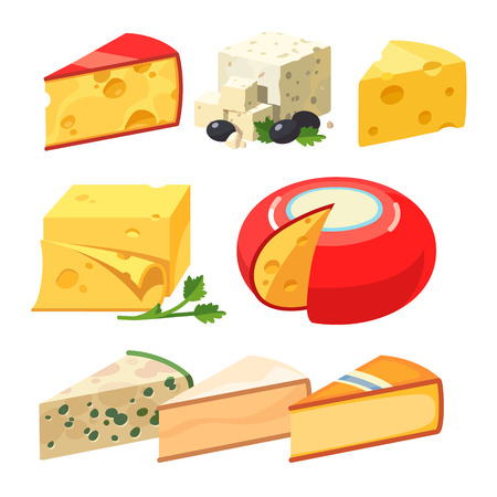 Cheese types. Modern flat style realistic vector illustration icons isolated on white background.のイラスト素材