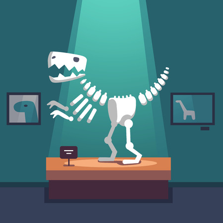 Tyrannosaurus dinosaur skeleton at archeology museum exposition room. Lit with spot light. Modern flat style vector illustration cartoon clipart.のイラスト素材