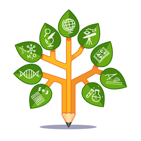 Sciences education tree stylized as pencil with scientific disciplines icons on its leafs. Flat style modern vector illustration isolated on white background.のイラスト素材