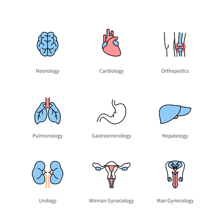 Medicine and medical specialties, human organsのイラスト素材