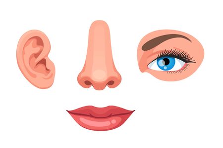 Four human face parts or sensory organs set. Nose, ear, eye, mouth. Educational anatomy visual aid poster template. Colorful clipart design. Flat vector illustration isolated on white backgroundのイラスト素材
