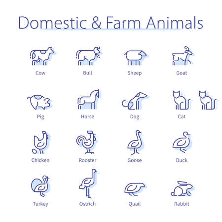 Farm animals. Cow, dog, sheep, cat and chickenのイラスト素材