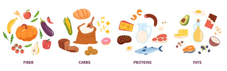 Carbs, proteins, fats, fiber food groups set. Fruits, vegetables, fish, cheese, oil, meat products healthy nutrition balance. Different food energy categories, natural diet flat vector illustrationのイラスト素材
