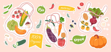 Natural vegetables food in net shopping bags. Raw organic tomatoes, pepper, carrot ingredients groceries purchases. Various vegan agriculture products stickers background flat vector illustrationのイラスト素材
