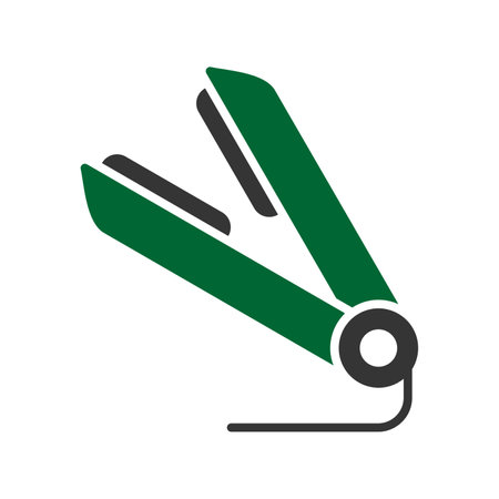 Hair Straightener Creative Icons Designのイラスト素材
