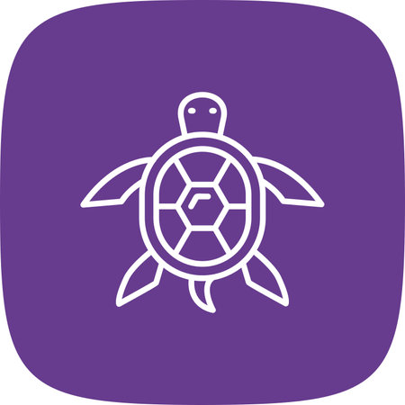 Turtle Iconのイラスト素材