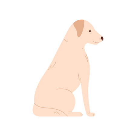 White dog sitting, funny portrait of furry puppy with tail, side view vector illustrationのイラスト素材