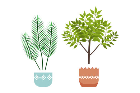 House plant set with different colored leaves isolatedのイラスト素材