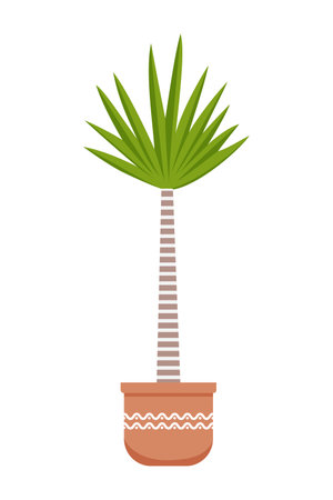 Modern house plant isolatedのイラスト素材