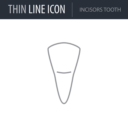 Symbol of Incisors Tooth. Thin line Icon of Dentist Tools. Stroke Pictogram Graphic for Web Design. Quality Outline Vector Symbol Concept. Premium Mono Linear Beautiful Plain Laconic Logoのイラスト素材