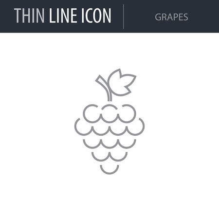 Symbol of Grapes. Thin line Icon of Food. Stroke Pictogram Graphic for Web Design. Quality Outline Vector Symbol Concept. Premium Mono Linear Beautiful Plain Laconic Logoのイラスト素材