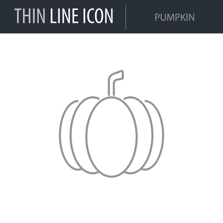 Symbol of Pumpkin. Thin line Icon of Food. Stroke Pictogram Graphic for Web Design. Quality Outline Vector Symbol Concept. Premium Mono Linear Beautiful Plain Laconic Logoのイラスト素材
