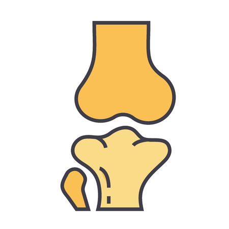 Bone joint, orthopedic concept flat linear illustration isolated on white backgroundのイラスト素材