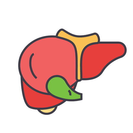 Liver concept. Line vector icon. Editable stroke. Flat linear illustration isolated on white backgroundのイラスト素材