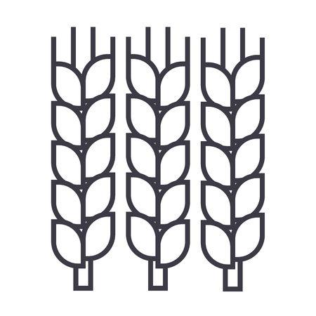 Wheat line iconのイラスト素材
