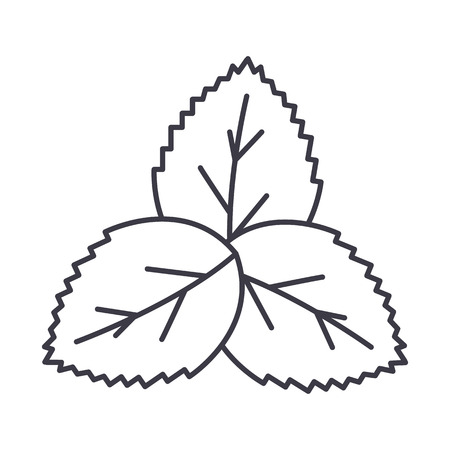 mint,green salad vector line icon, sign, illustration on white background, editable strokesのイラスト素材