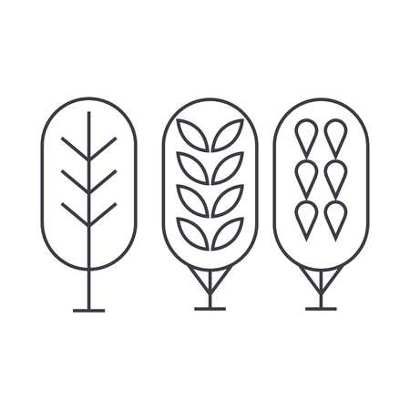 Birch tree thin line icon, vector illustration. Birch tree linear concept sign.のイラスト素材