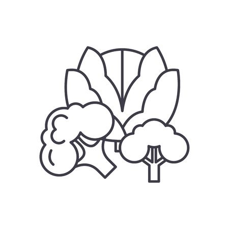 Broccoli line icon concept. Broccoli vector linear illustration, sign, symbolのイラスト素材