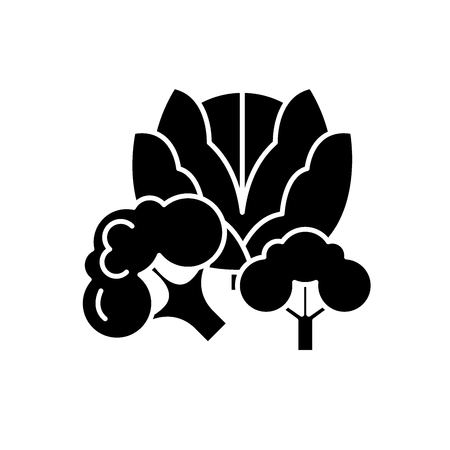 Broccoli black icon, concept vector sign on isolated background. Broccoli illustration, symbolのイラスト素材
