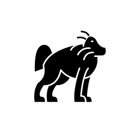 Orangutan black icon, concept vector sign on isolated background. Orangutan illustration, symbolのイラスト素材