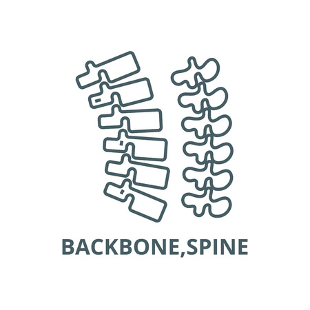 Backbone,spine line icon, vector. Backbone,spine outline sign, concept symbol, illustrationのイラスト素材