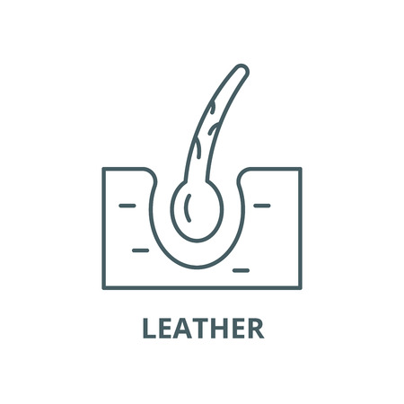 Leather vector line icon, outline concept, linear signのイラスト素材