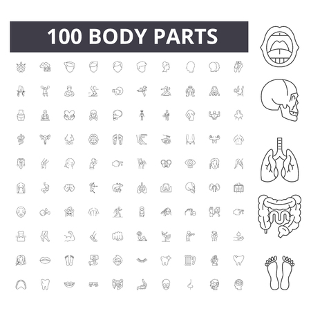 Body parts anatomy line icons, signs, vector set, outline concept illustrationのイラスト素材