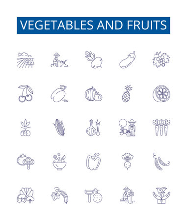 Vegetables and fruits line icons signs set. Design collection of Carrots, Tomatoes, Apples, Cabbage, Oranges, Peas, Potatoes, Bananas outline concept vector illustrationsのイラスト素材