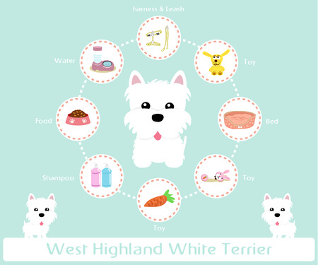 Pet Supplies (west highland white terrier) infographic on warm background - vector set of icons and illustrationsのイラスト素材