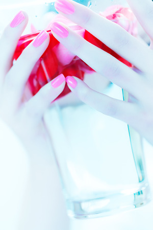 Closeup of famale hands with pink nails holding a glass containing water and rose petals.の写真素材