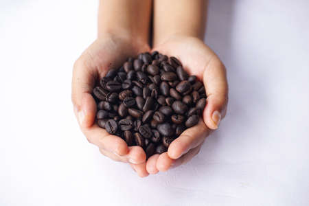 coffee beans in hand on white tableの写真素材