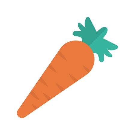 carrot vegetableのイラスト素材