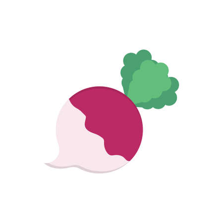 vegetableのイラスト素材