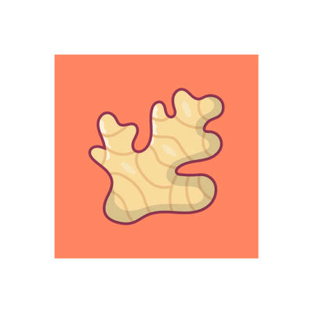 vegetable