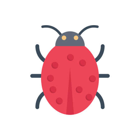ladybird