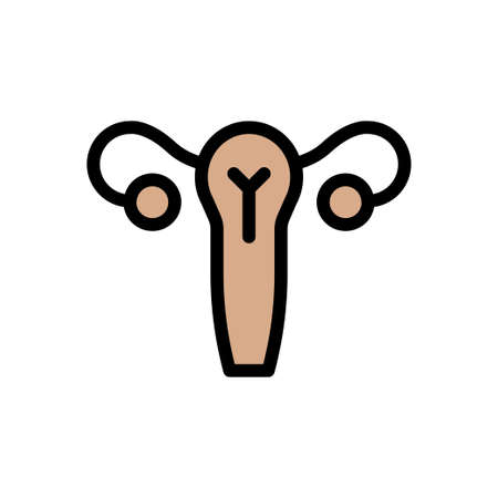 uterus vector line colour iconのイラスト素材