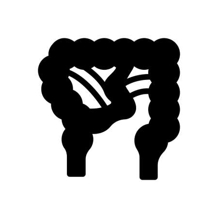 digestion vector glyph flat iconのイラスト素材