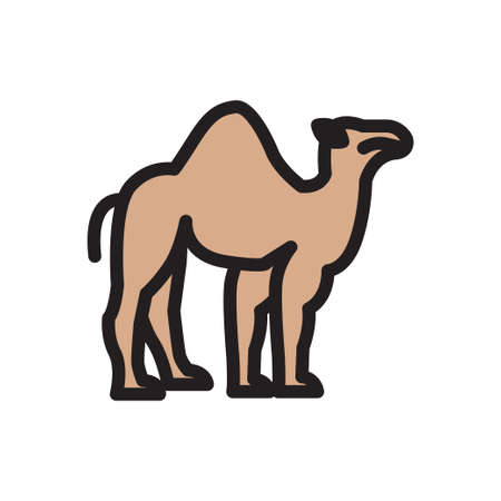 camel vector colour line  iconのイラスト素材