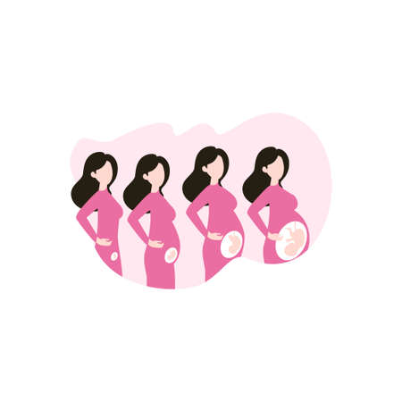 This is the procedure of a pregnancy growth.のイラスト素材