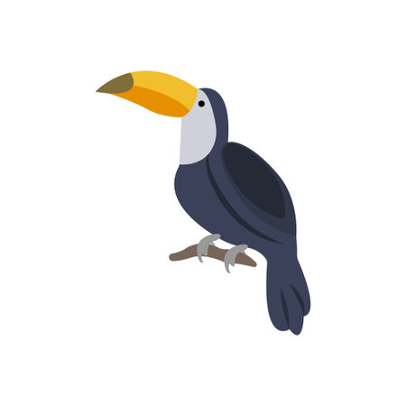 toucan Vector illustration on a transparent background. Premium quality symbols.  Icons for concept and graphic design.のイラスト素材