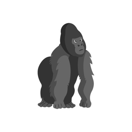 gorilla Vector illustration on a transparent background. Premium quality symbols.  Icons for concept...