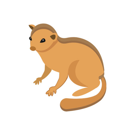 squirrel Vector illustration on a transparent background. Premium quality symbols.  Icons for...